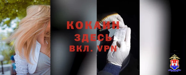 трава Коряжма
