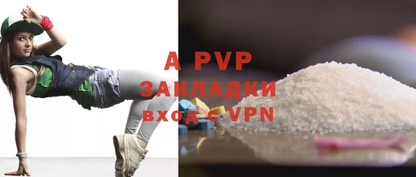 трава Коряжма