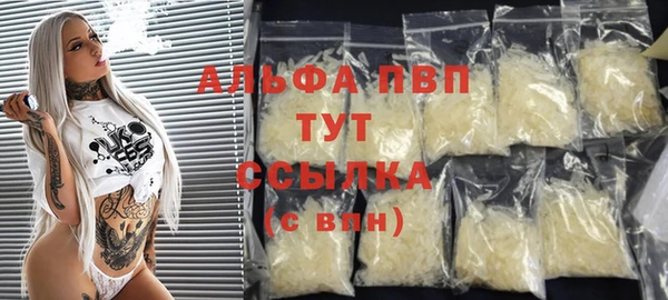 трава Коряжма