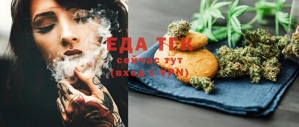 трава Коряжма